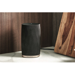 Bowers & Wilkins Formation Flex - enceinte connectée WiFi, AirPlay 2, Bluetooth aptX compatible Roon et Spotify Connect