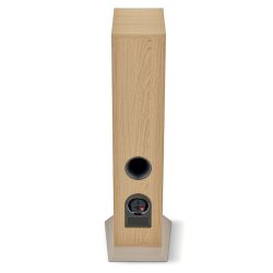 Focal Theva N°2 Noir Bois clair : bornier simple 