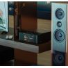 Bluesound NODE Icon - Lecteur réseau audio pour votre chaîne HiFi, enceintes actives ou DAC externe