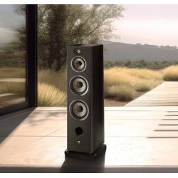 Focal Aria EVO X N°4 Noir : conception esthétique soignée