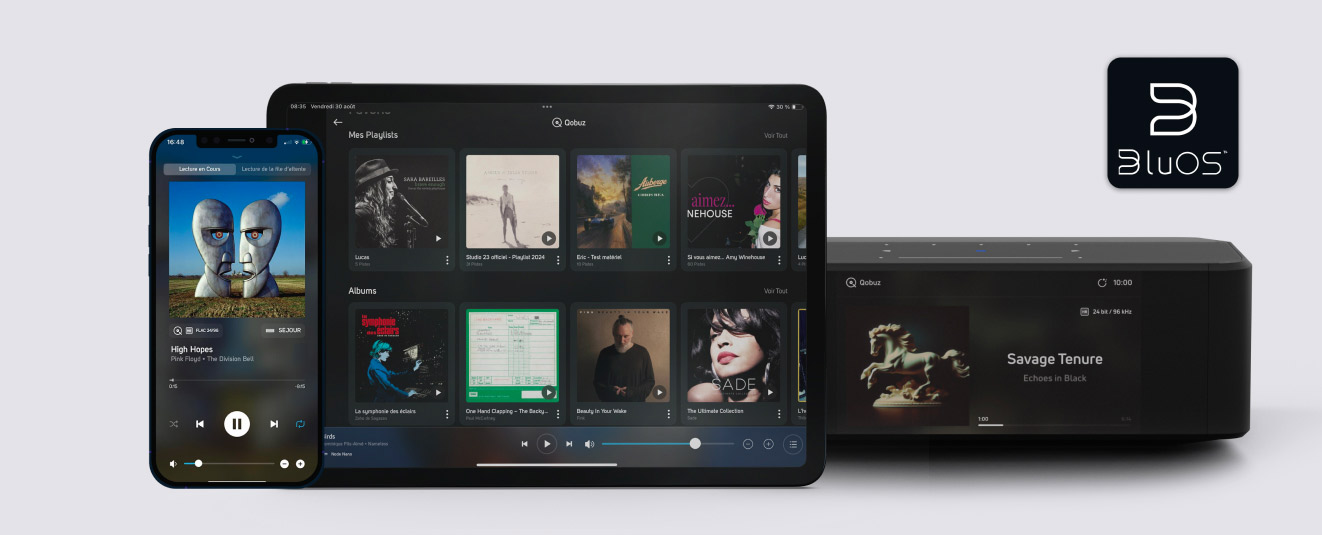 Bluesound Node Icon : accédez à une collection musicale 100% numérique